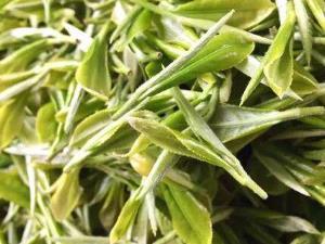 貴州茶香飄四海 從地方特產品到第一大出口農產品的崛起之路